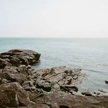 Hejira placeholder cover for Joni Mitchell